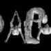çıplak alfabe